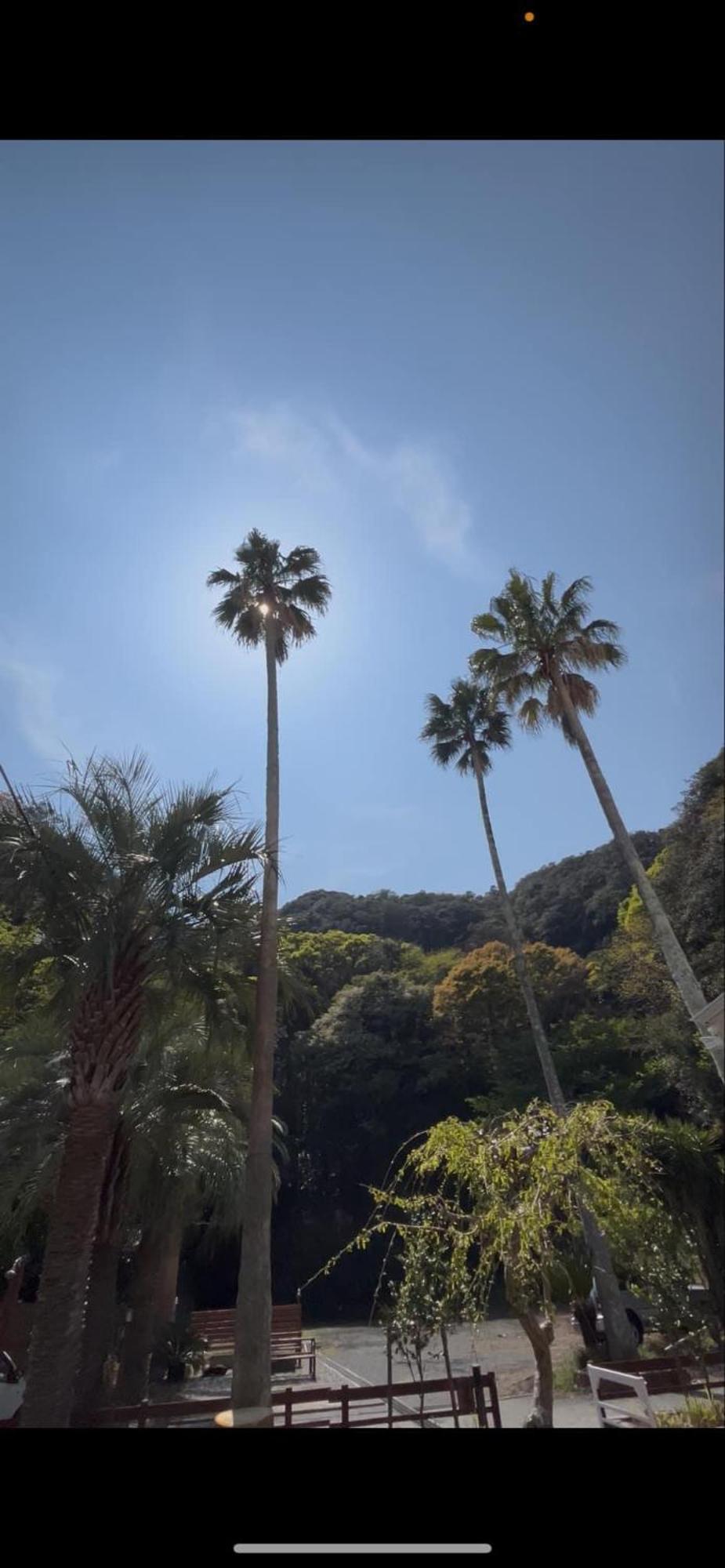 The Surf Lodge White Beach Shimoda  Luaran gambar